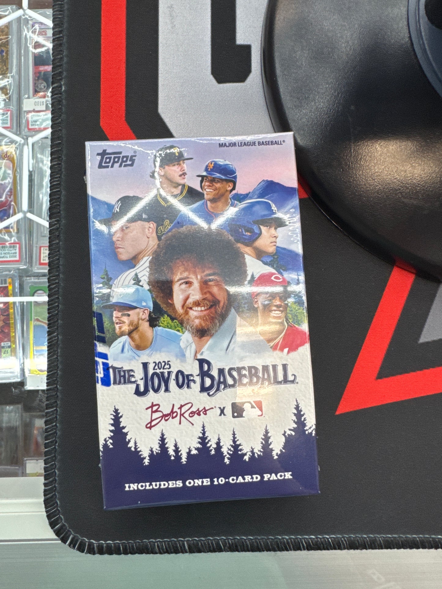 2025 the joy of baseball